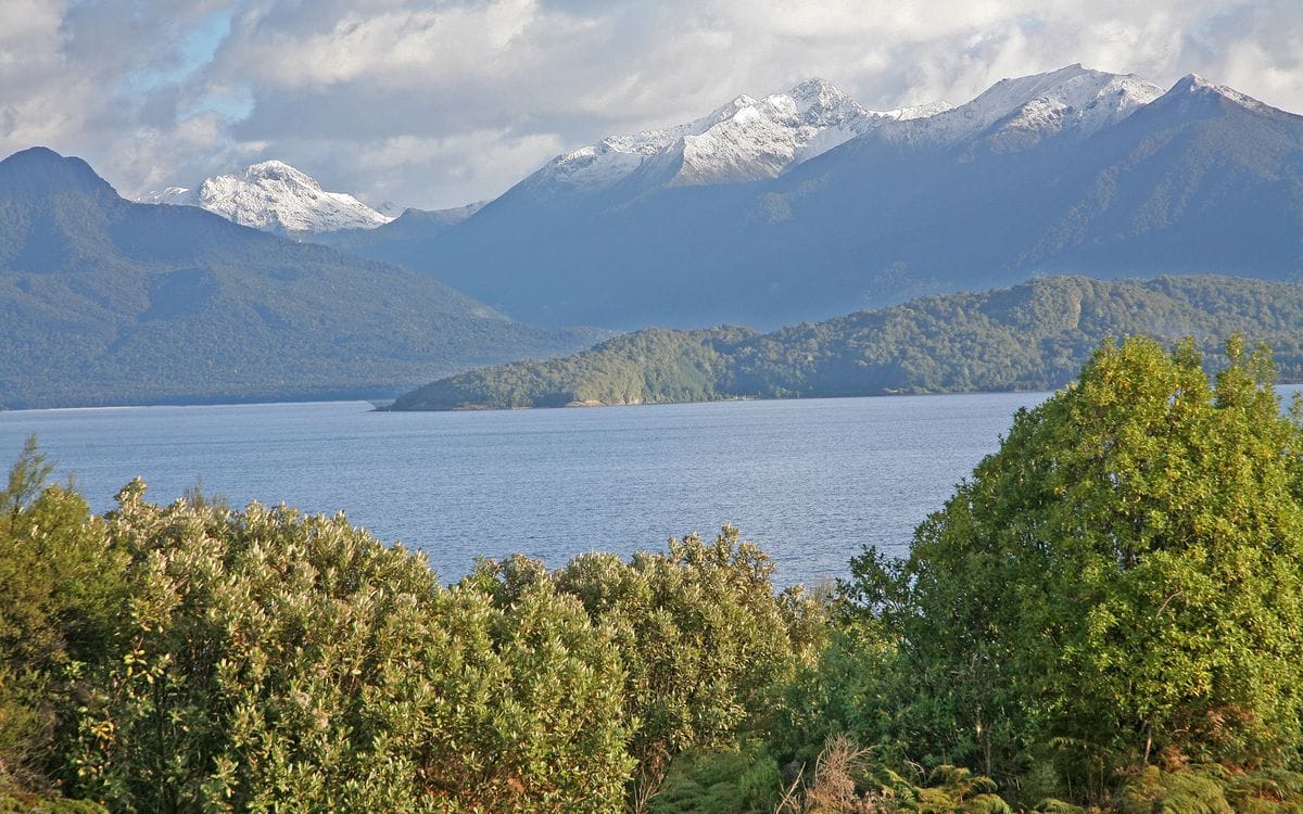 Lake Te Anau framed by native vegetation and snow-tipped Fiordland mountains